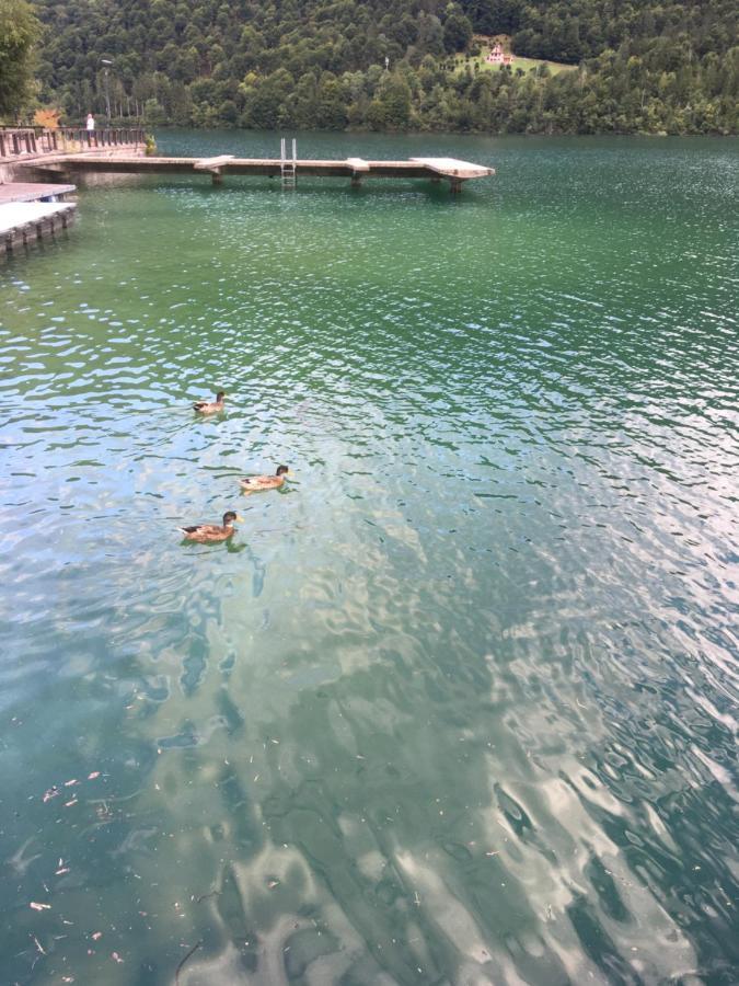 Casa A Schiera Fronte Lago Con Giardino بارسيز المظهر الخارجي الصورة